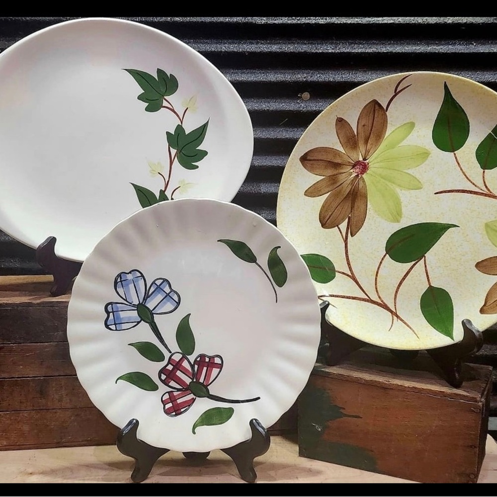 3pc Blue Ridge Pottery Floral Patterned Dinner Plates